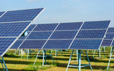 SolTech: Inovasi Terbaru dalam Teknologi Panel Surya untuk Masa Depan Energi Terbarukan